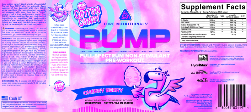 Core Pump - Image 5
