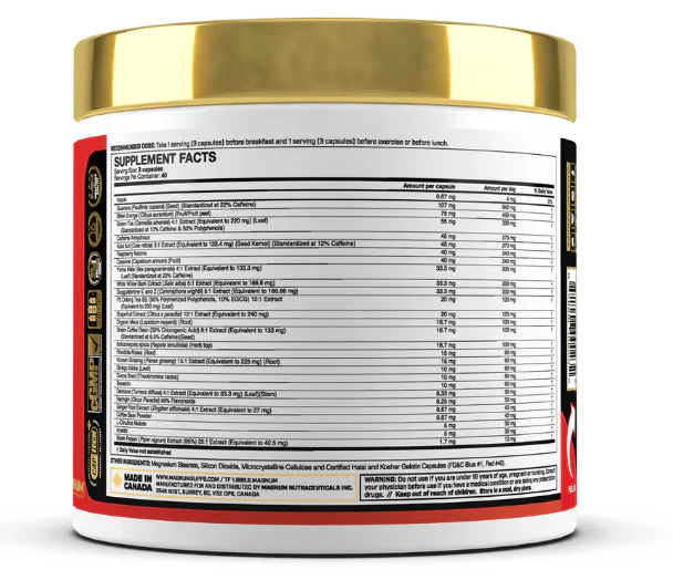 Magnum Heat Accelerated | Advanced Thermogenic Fat Burner for Energy & Focus - Image 2
