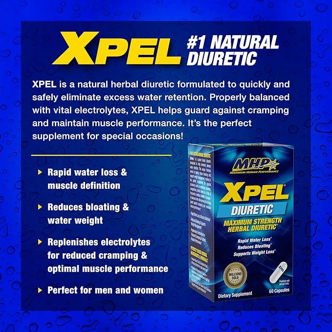 MHP XPEL - Image 4