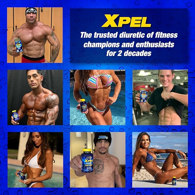 MHP XPEL - Image 7