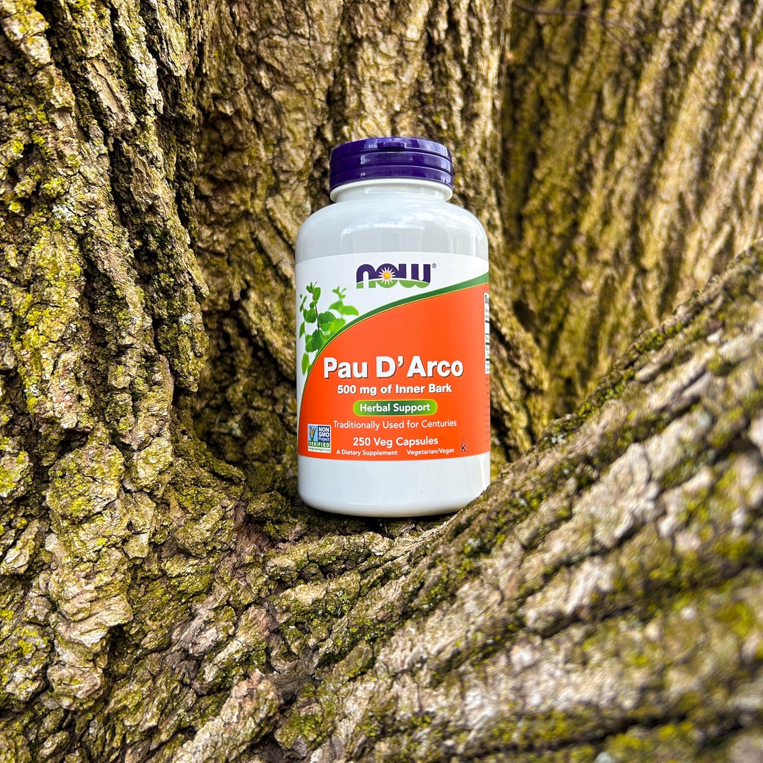 NOW Supplements Pau D’Arco 500 mg | Herbal Support Capsules - Image 5